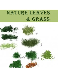 G14 nature leaves & grass[Send+online guidance]